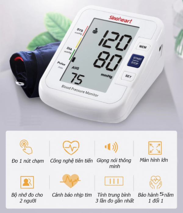 Máy đo huyết áp Sinocare Sinoheart BA801